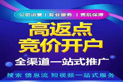 竞价推广代运营成功案例分析